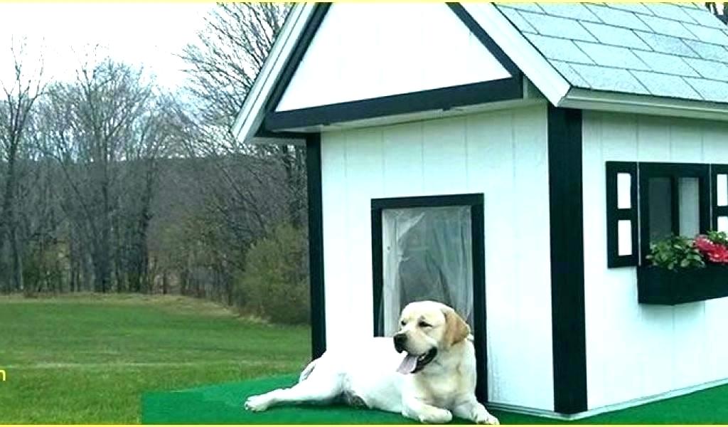 UTILIZATION OF HEATING DOG HOUSES