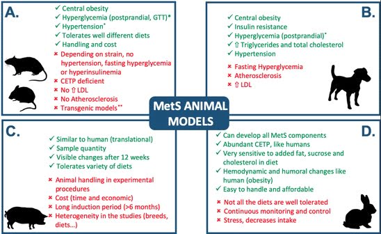 MAINTENANCE OF BODY INVIVO AND INVITRO TEMPERATURE