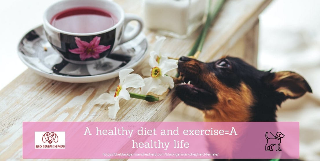 A healthy diet and exercise=A healthy life