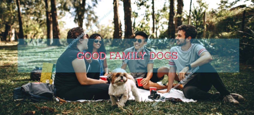 GOOD FAMILY DOGS