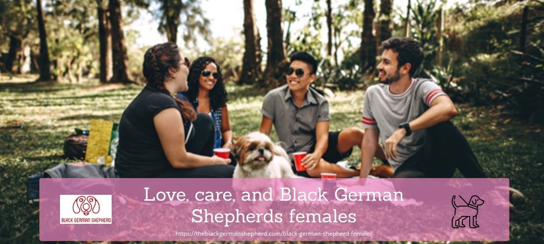 Love, care, and Black German Shepherds females