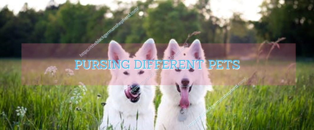 PURSING DIFFERENT PETS