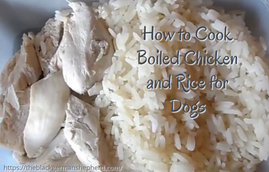 boiled-chicken-and-rice-for-dogs-recipe-for-dogs-2023