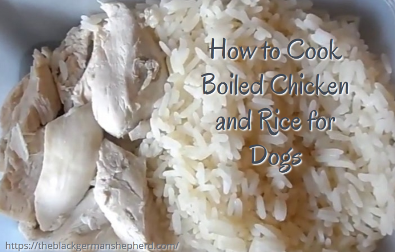 How to Cook Chicken and Rice for Dogs