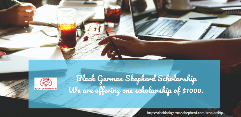 Black German Shepherd Scholarship