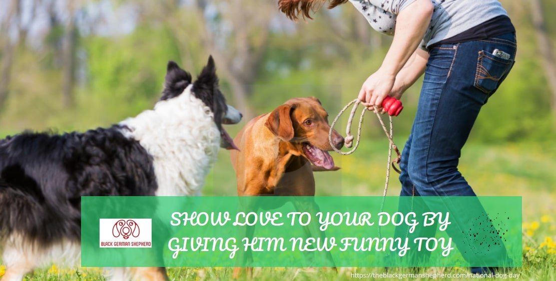  SHOW LOVE TO YOU DOG BY GIVING HIM NEW FUNNY TOY