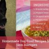 Homemade Dog Food Recipes for Skin Allergies