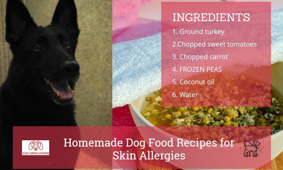 Homemade Dog Food Recipes for Skin Allergies