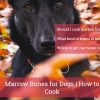 marrow bones for dogs