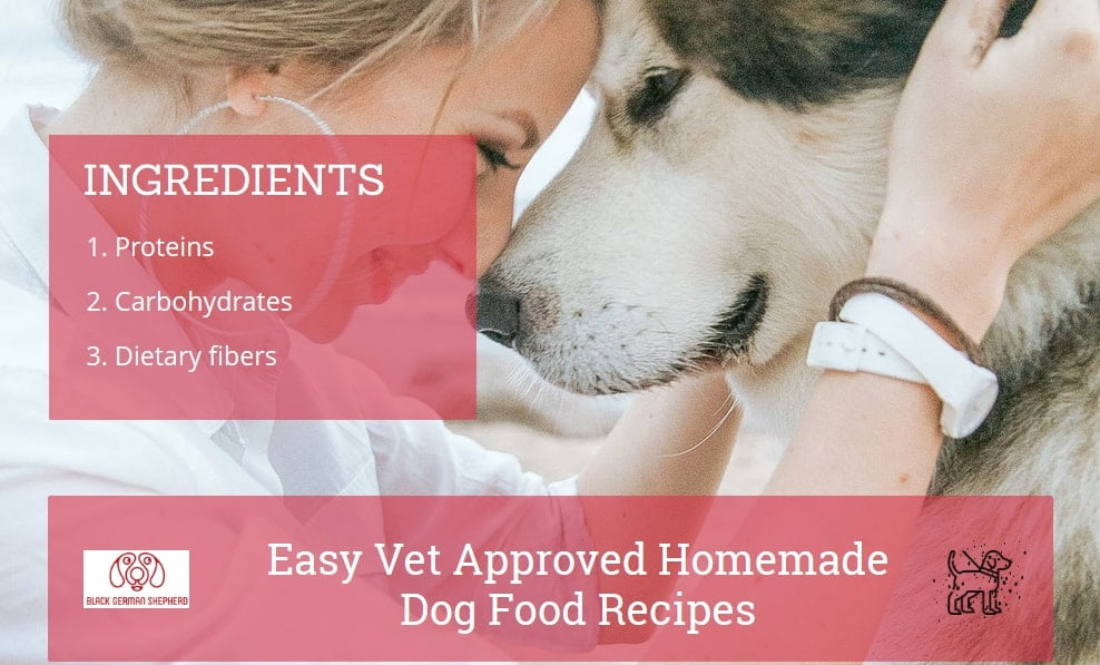 Homemade Dog Food Recipes for Skin Allergies Vet Approved