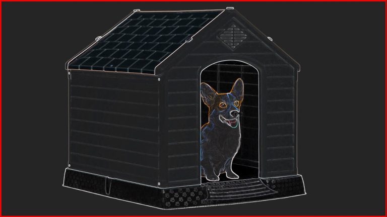 Best Heated Dog Houses for Dogs in Winter